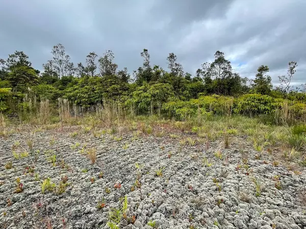 Volcano, HI 96785,VOLCANO RD