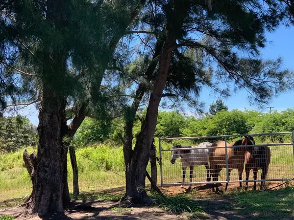 Honokaa, HI 96727,44-2580 KALOPA RD