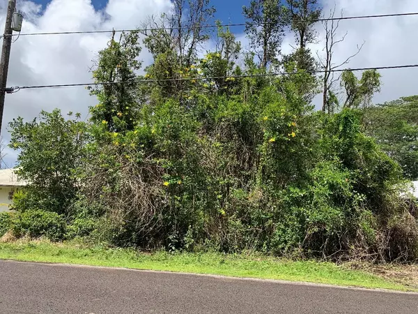 Keaau, HI 96749,UILANI DR