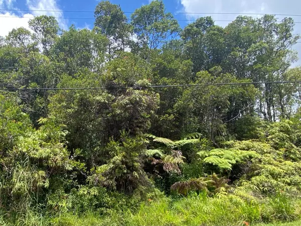 Volcano, HI 96785,LEHUANANI ST