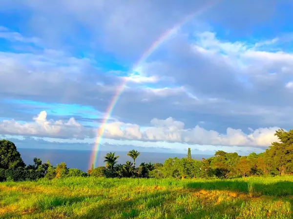 36-3352 KUWILI LANI PLACE, Laupahoehoe, HI 96764