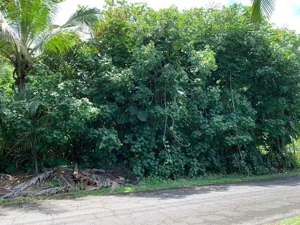 Pahoa, HI 96778,N POPAA ST, Lot 2