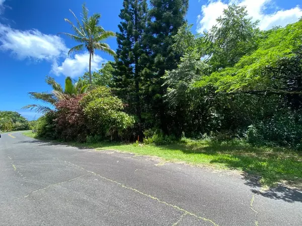 Pahoa, HI 96778,KIPUKA ST