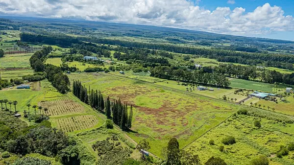 Pepeekeo, HI 96783,AIRSTRIP ROAD