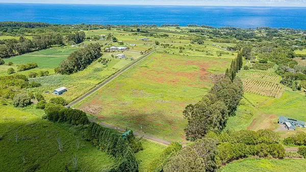 Pepeekeo, HI 96783,AIRSTRIP ROAD