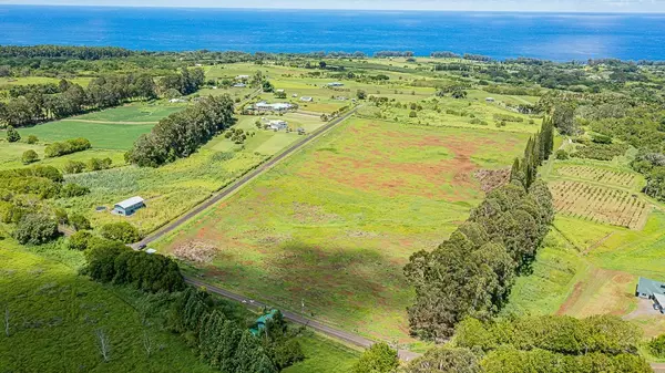 Pepeekeo, HI 96783,AIRSTRIP ROAD