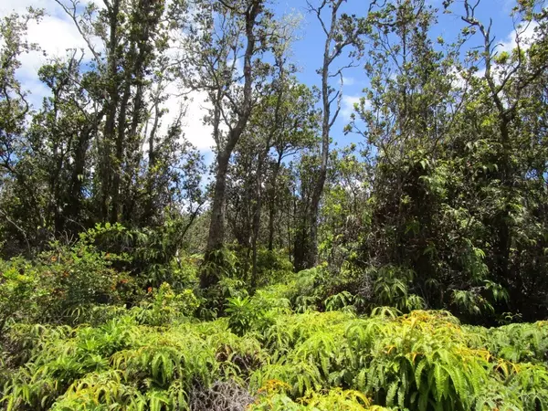 OLD VOLCANO RD, Volcano, HI 96785