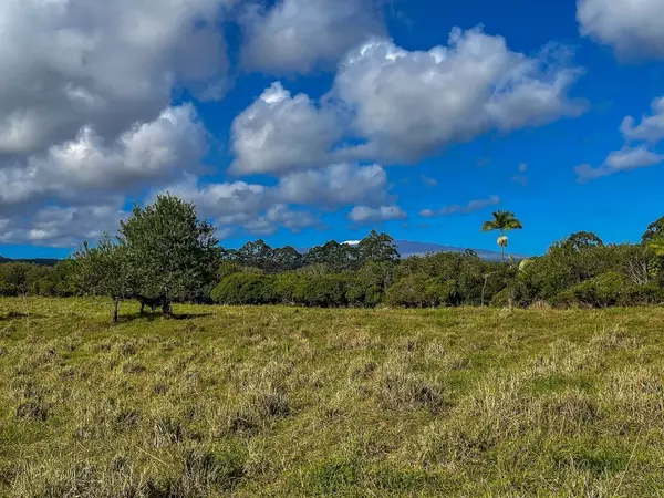 Pepeekeo, HI 96783,South Hawaii