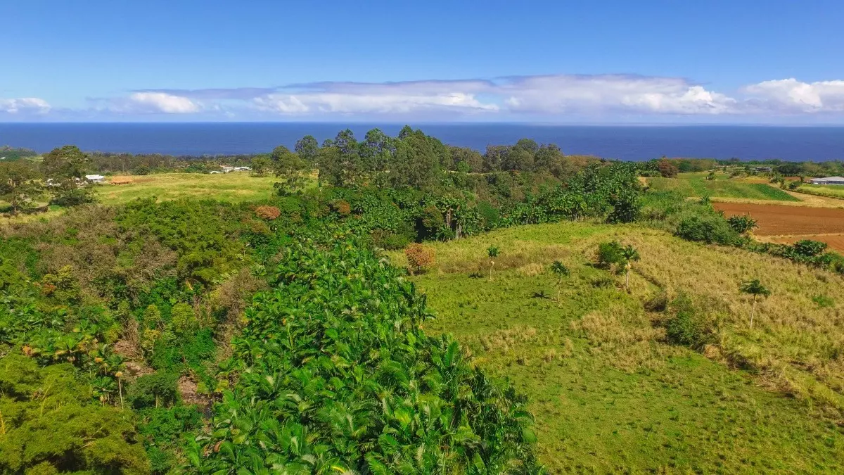 Pepeekeo, HI 96783,South Hawaii