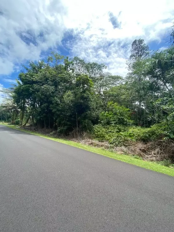 Pahoa, HI 96778,N MALOLO ST