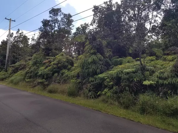 Volcano, HI 96785,NAHELENANI ST