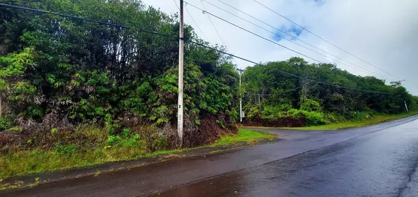 Volcano, HI 96785,ROAD 8