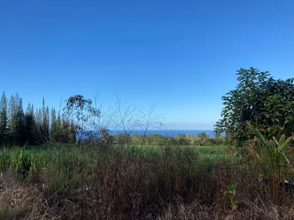 Hakalau, HI 96710,29-3844 PUEOIHI RD