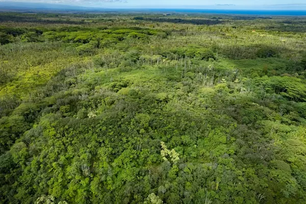 Pahoa, HI 96778,PAHOA-KALAPANA RD