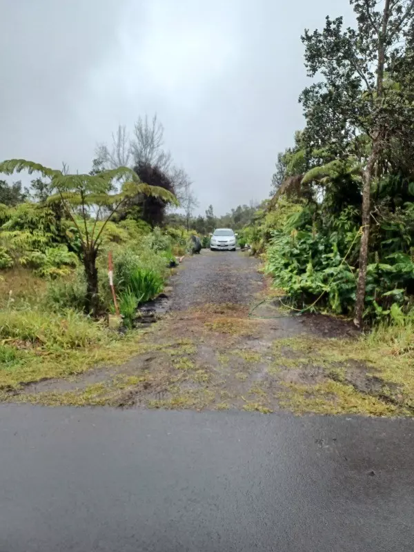 Volcano, HI 96785,11-3944 NAHELENANI ST