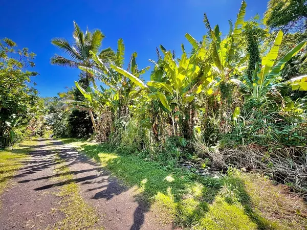 LOVELL SUBD. RD, Pahoa, HI 96778