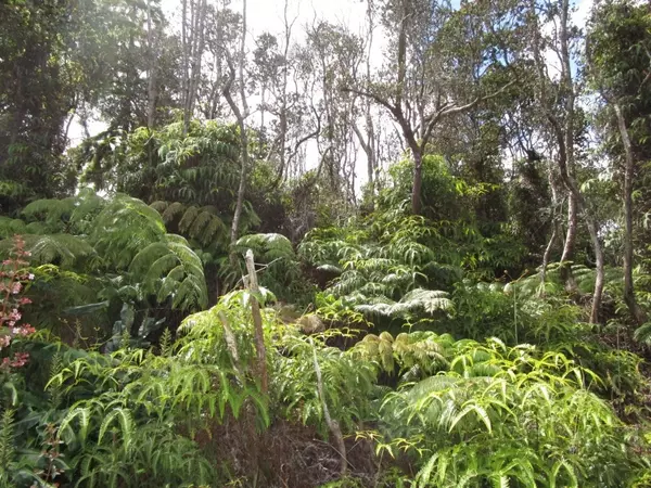 NAHELENANI ST, Volcano, HI 96785