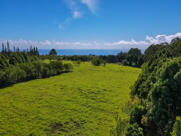 KAUPAKUEA HOMESTEAD RD, Pepeekeo, HI 96783