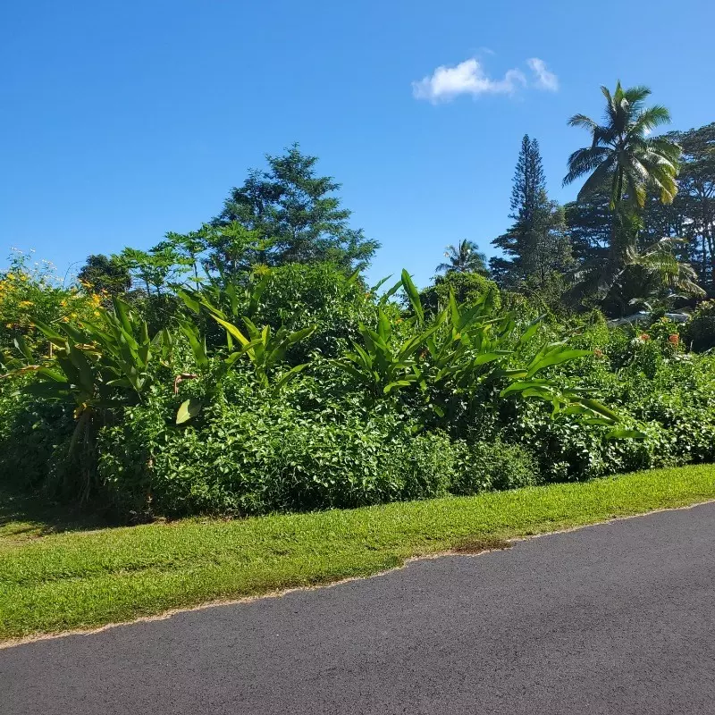 Pahoa, HI 96778,N HINALEA ST