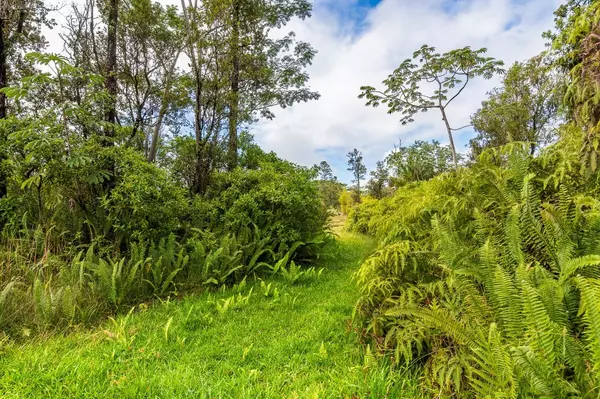 Pahoa, HI 96778,N POMAIKAI ST