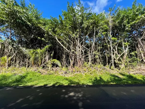 Pahoa, HI 96778,KAPOHO KALAPANA RD