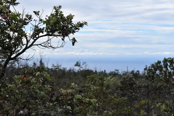 Ocean View, HI 96737,KING KAMEHAMEHA BLVD