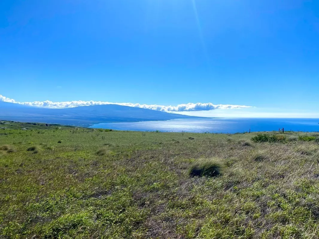 Kapaau, HI 96743,KALAMA PL