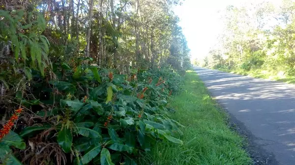 ALA OHIA ST, Volcano, HI 96785