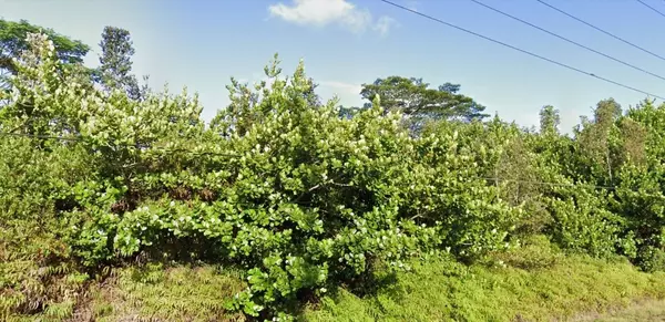 Kurtistown, HI 96749,KEAAU-PAHOA RD