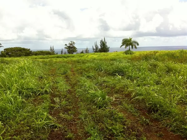 Ninole, HI 96773,HAWAII BELT HWY #KAMAEE AND WAILUA GOVERNMENT TRACT