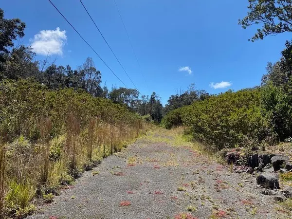 Volcano, HI 96785,19-3174 MAMAKI LN