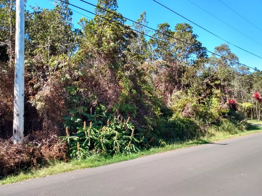 Volcano, HI 96785,NAHELENANI ST