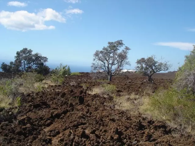 Ocean View, HI 96737,HOKULANI BLVD