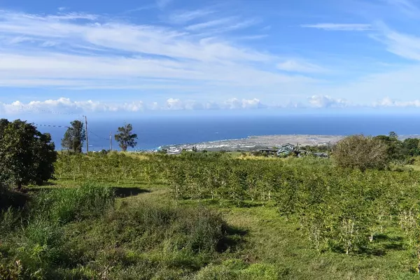 KUAHEWA ROAD, Holualoa, HI 96725