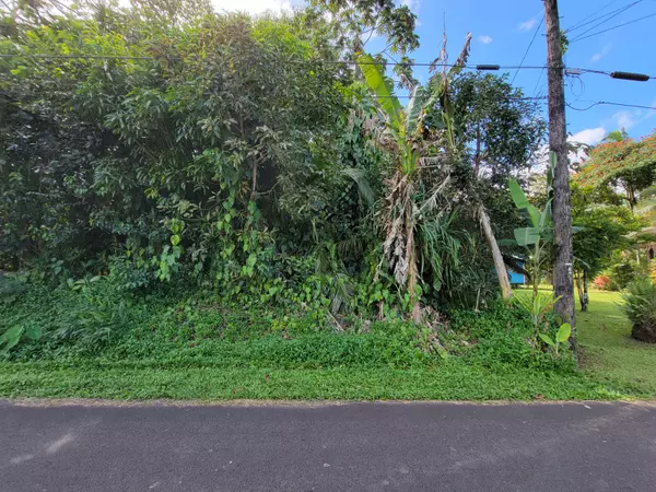 Pahoa, HI 96778,N OPAE ST