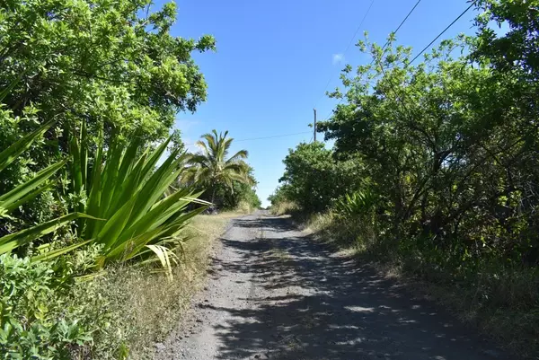 Naalehu, HI 96772,HOLOWAI ST