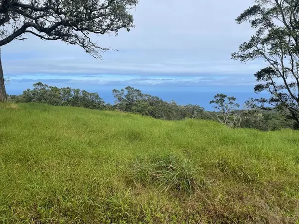 42-1034 KOHOLALELE RD, Paauilo, HI 96776