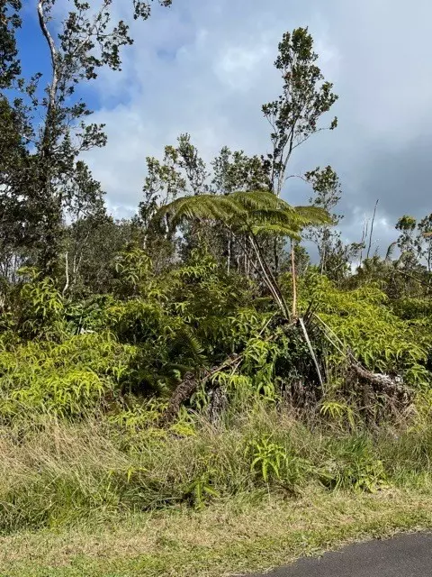 11-3948-A NAHELENANI ST, Volcano, HI 96785