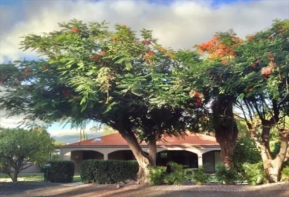 68-3799 MANUAIHUE PL, Waikoloa, HI 96738