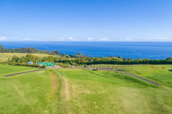 Laupahoehoe, HI 96764,36-3356 KUWILI LANI PLACE