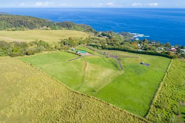 Laupahoehoe, HI 96764,36-3356 KUWILI LANI PLACE