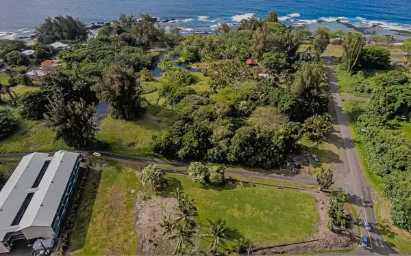 Hilo, HI 96720,176 APAPANE RD