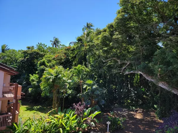 3411 WILCOX RD #71, Lihue, HI 96766