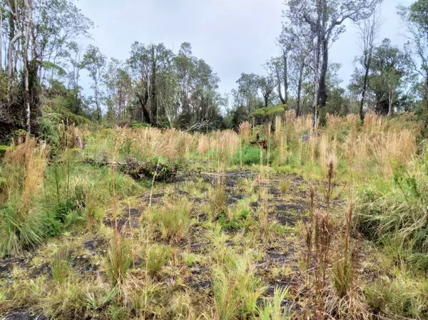 KANILEHUA PL, Volcano, HI 96785