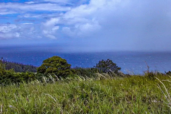 Laupahoehoe, HI 96764,SPENCER RD