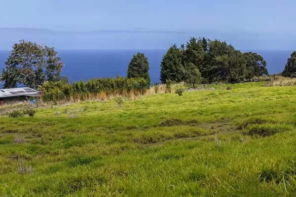 Laupahoehoe, HI 96764,SPENCER RD