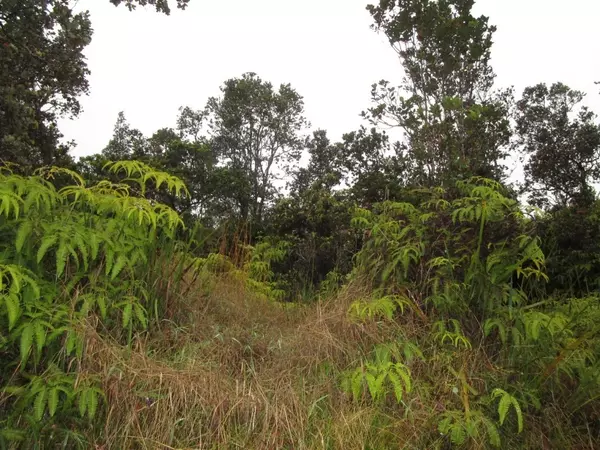 Volcano, HI 96785,NAHELENANI ST