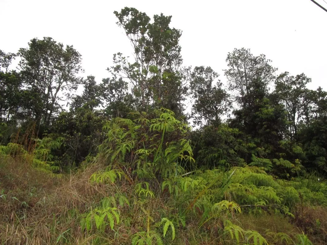 Volcano, HI 96785,NAHELENANI ST