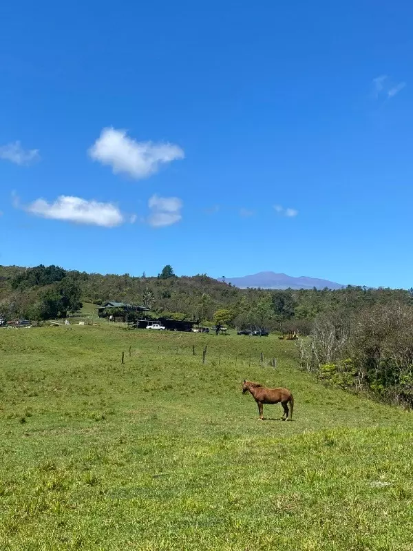 Ninole, HI 96773,32-473 WAILELE RD