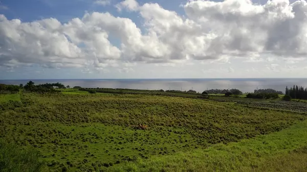 Pepeekeo, HI 96783,OPUA ROAD #Lot 11